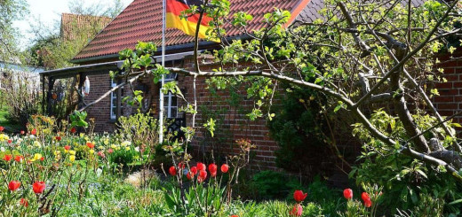 Vorgarten mit Tulpen und Deutschlandfahne