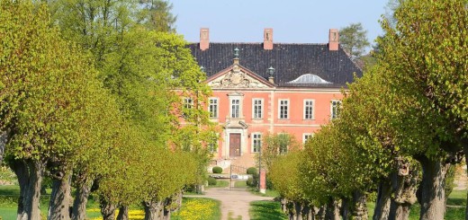 Lindenallee Schloss Bothmer Klütz