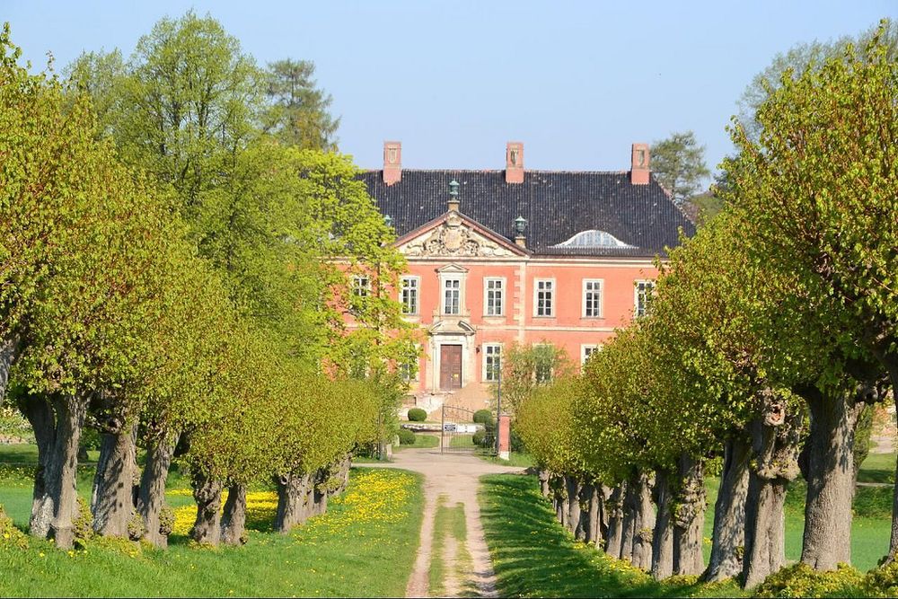 Lindenallee Schloss Bothmer Klütz