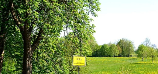 Natur im Klützer Winkel