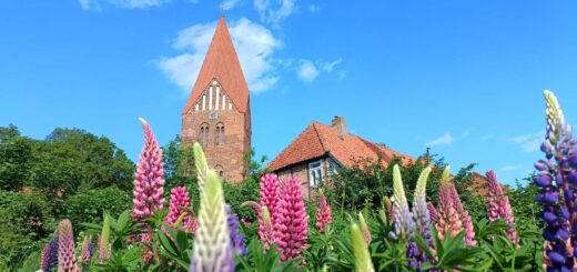 Schlossgarten Klütz am Markt